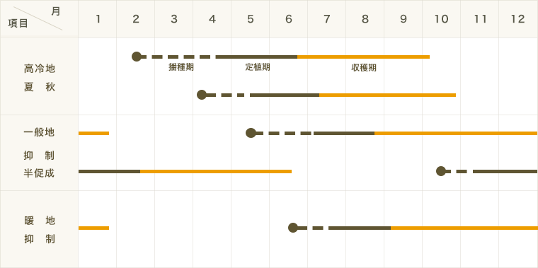 ڤƤޤġ ̥ȥޥ 409 Ǻ 9cmݥå     ڿ͵