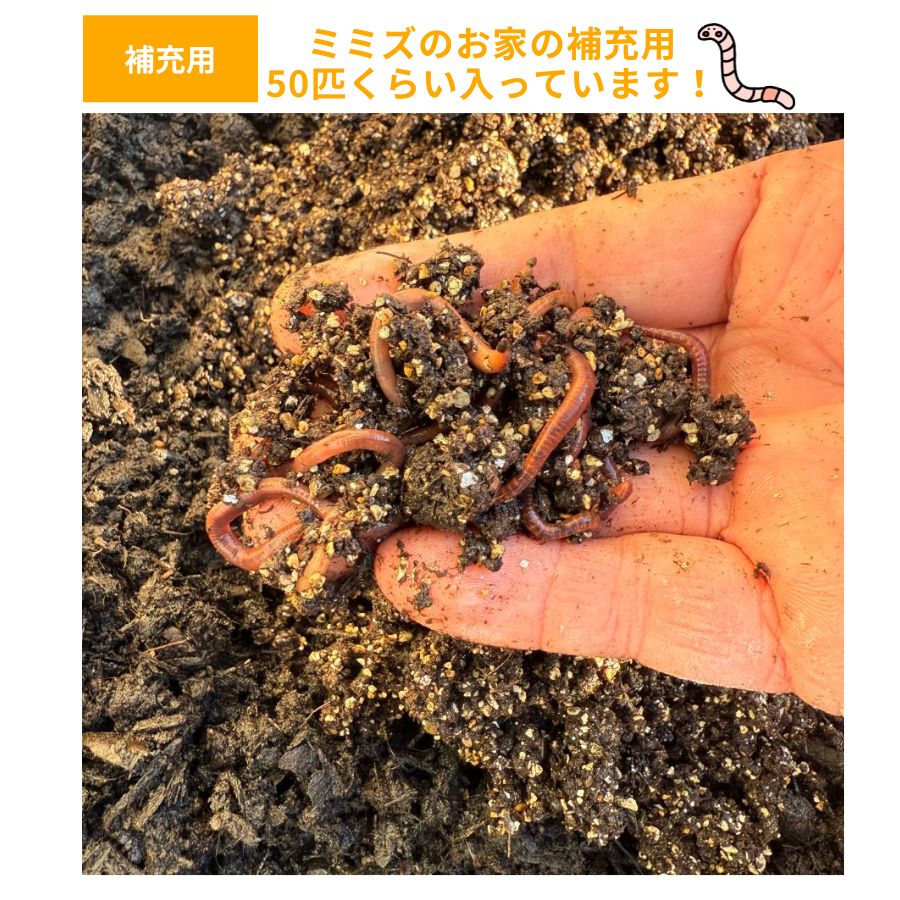 �ڻ����佼�ѡ��ߤߤ�����50ɤ��������̵��