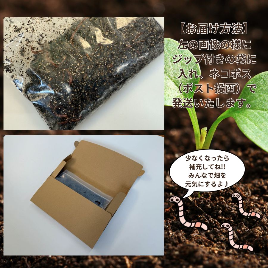 �ڻ����佼�ѡ��ߤߤ�����50ɤ��������̵��