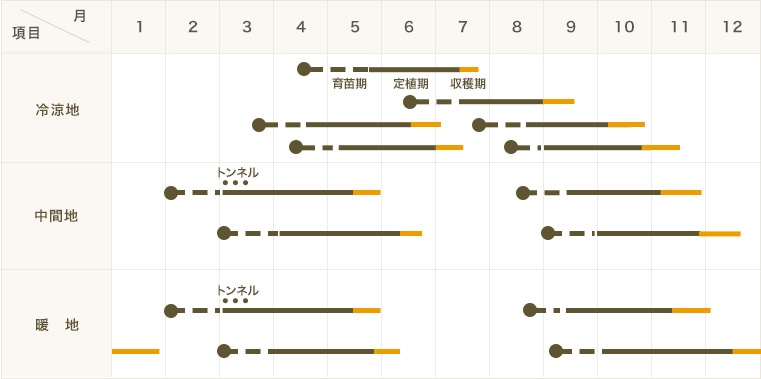 ڤƤޤġۥϥġ󥸥4ѥåպġ