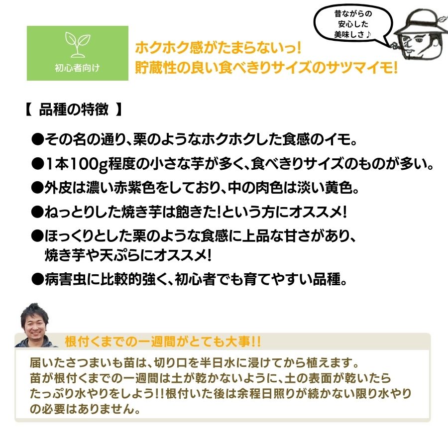 �ڤƤ��ޤ��ġ�  ���Ĥޤ����ġʥ���ť�� �����ۤä��ꡡ1«10������ ���ĥޥ���  �������жػ�