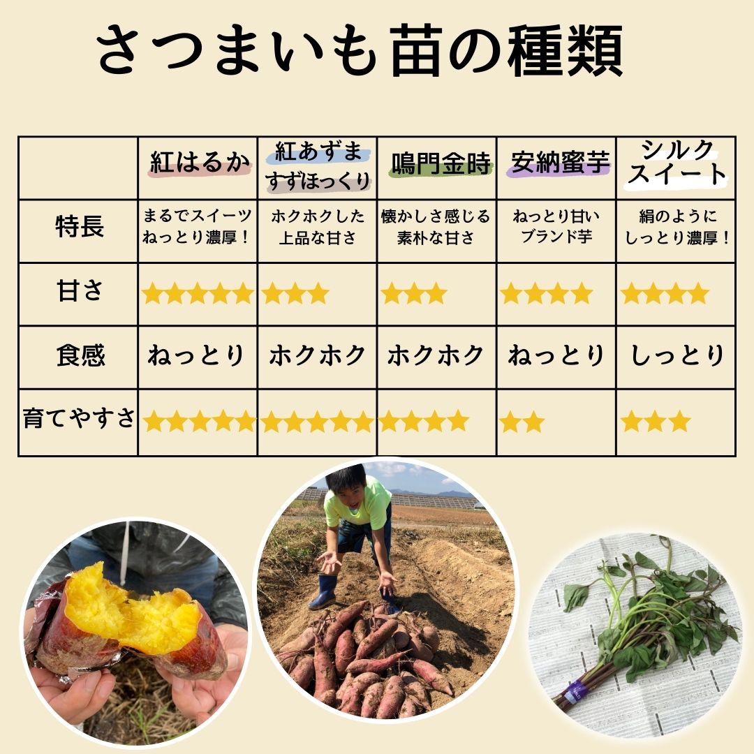 �ڤƤ��ޤ��ġ�  ���Ĥޤ����ġʥ���ť�� �����ۤä��ꡡ1«10������ ���ĥޥ���  �������жػ�