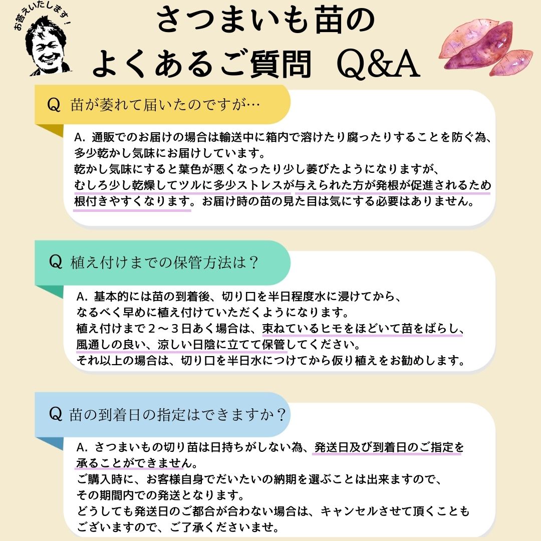 �ڤƤ��ޤ��ġ�  ���Ĥޤ����ġʥ���ť�� �����ۤä��ꡡ1«10������ ���ĥޥ���  �������жػ�