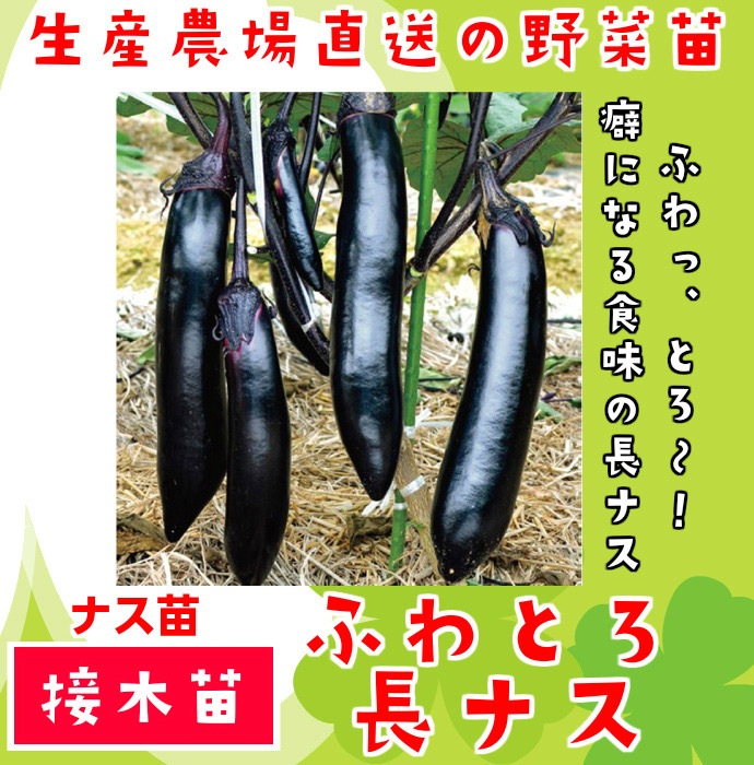 ڤƤޤġۥʥġդȤĹʥǺġ9ݥå