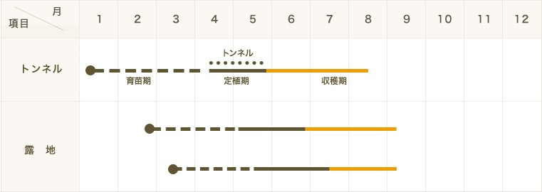 ڤƤޤġۥʥġդȤĹʥǺġ9ݥå