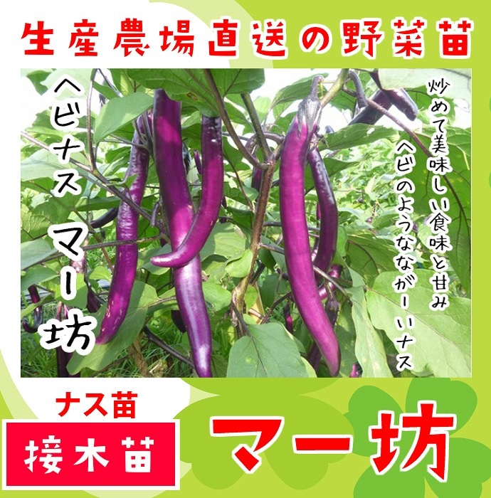 ڤƤޤġ  ʥ ޡ˷ ǺǺ 9cmݥå     ڿ͵