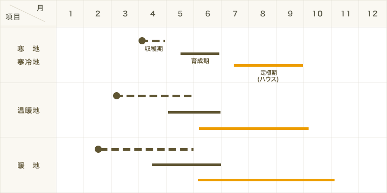 ڤƤޤġ  ʥ ޡ˷ ǺǺ 9cmݥå     ڿ͵