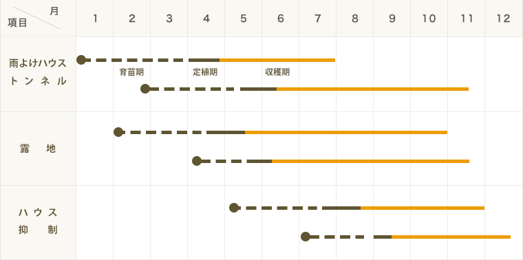 ڤƤޤġ  ԡޥ ԡϺ  9cmݥå     ڿ͵