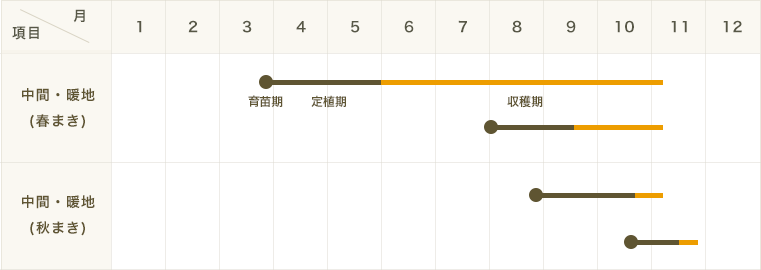 �ڤƤ��ޤ��ġۥݥåȼ��ġ��Хߥ塼�����饹���ϥꥦ�åɡ��ݥåȼ�