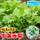�ڤƤ��ޤ��ġ����ե���󥮥��ġ�4������ѥå����պ���