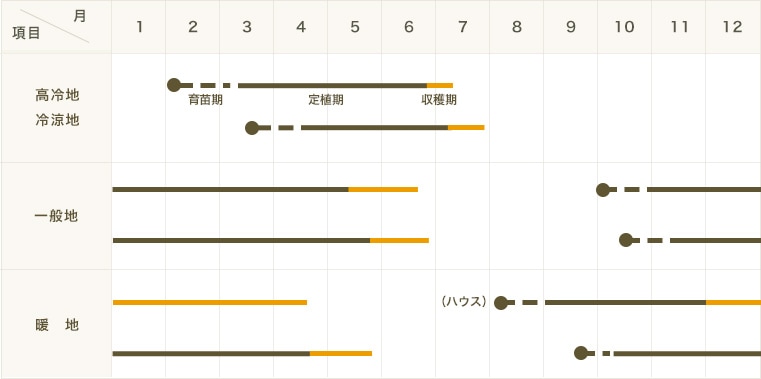 �ڤƤ��ޤ��ġۥ���ޥ��ġ��Ǳ۰�����4������ѥå���������