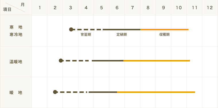 ڤƤޤġ ȥ饷 Ĺȥ饷  9cmݥå     ڿ͵