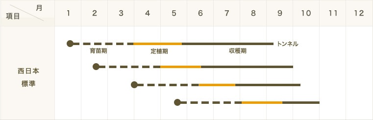 �ڤƤ��ޤ��ġۼ����ȥ����饷�ġ����ȥ����饷�������ġ�9cm�ݥåȡ�