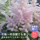 �ɺ��� �� ��������� ���������ƥ쥵 9������󥰥ݥå� ���� Ⱦ���� �������� �����ǥ� ¿ǯ�� �ڥ�˥���