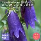 ��ͽ��۽ɺ��� �� ����ѥ˥�� ���饹�ȥ� 9������󥰥ݥå� ���� Ⱦ���� �������� �����ǥ� ����ä��󤽤� ¿ǯ��ڣ����Ⱦ���缡ȯ����