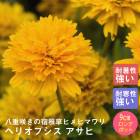 ͽ۽ɺ  إꥪץ  󥰥ݥå ɺɱҤޤ ɺҥҥޥ 뤵˶ ѽ ¿ǯڣ沼ܤ缡ȯ