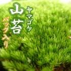 ��ޥ��� ���� 18��11cm�ѥå����� �� ���� ���� �ݥƥ�ꥦ�� �ߺ� �ƥ�ꥦ�� �������ꥦ�� �ݶ� ����ƥꥢ �����ꥦ�� �ۥ��Х����ʥ��� �ޥ󥸥奦����