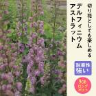 ��ͽ��۽ɺ��� �� �ǥ�ե��˥��� �����ȥ�å� 9������󥰥ݥå� �ڤ�ָ��� ����ä��󤽤� ¿ǯ�� �ڥ�˥��� �ڣ����Ⱦ���缡ȯ����