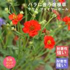 ��ͽ��۽ɺ��� �� ������ �ե����䡼�ܡ��� ��������󥰥ݥå� �Х�˹礦 ����ä��󤽤� ¿ǯ�� �ڥ�˥���ڣ����Ⱦ���缡ȯ����