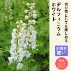 ��ͽ��� �ɺ��� �� �ǥ�ե��˥��� �ۥ磻�� 9������󥰥ݥå� �ڤ�ָ��� ����ä��󤽤� ¿ǯ�� �ڥ�˥���ڣ����Ⱦ���缡ȯ����