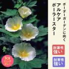 ��ͽ��۽ɺ��� �� ���륱�� �ݡ��顼������ 9������󥰥ݥå� ���������� ���ι⤤ �ܡ����� �����ǥ� ¿ǯ��ڣ����Ⱦ���缡ȯ����