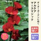 ��ͽ��۽ɺ��� �� ���륱�� �ޡ����ޥ��å� 9������󥰥ݥå� ���������� ���ι⤤ �ܡ����� �����ǥ� ¿ǯ��ڣ����Ⱦ���缡ȯ����