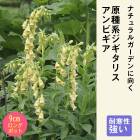 �ɺ��� �� �������ꥹ ����ӥ��� 9������󥰥ݥå� ���ι⤤ �ܡ����� �����ǥ� ����ä��󤽤� ¿ǯ��