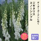 ͽ۽ɺ  ꥹ Ρ֥ 9󥰥ݥå ι⤤ ܡ ǥ ä󤽤 ¿ǯڣ沼ܤ缡ȯ