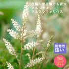 �ɺ��� �� ����󥯥� ���������ե��ꥦ�� 9������󥰥ݥå� ���� Ⱦ���� �������ɥ����ǥ� ����ä��󤽤�