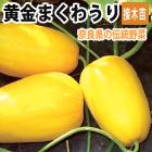 ��ͽ���������� ��� �� ���� �ޤ��臘�� ������� 9����ݥå� �䤵�� �ޥ��復�� ���� �����ڱ� �����ǥ˥󥰡ڣ����Ⱦ���缡ȯ����