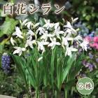 �� ��� ����� �� �庬 2�� ���� ����� �� ������ ¿ǯ�� �������ɥ����ǥ� �߿��� �֤�����