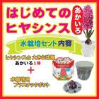 ϤƤ ҥ䥷  å  庬 + ƴ     å ֤