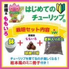 ϤƤ 塼å  å  庬 +4ȭ++ߥ˺ҡ ⤤  å ֤