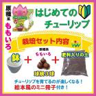 �Ϥ���Ƥ� ���塼��å� ���� ���å� �� �庬 +4��ȭ+������+�������ߥ˺��ҡ� ��⤤�� �� ���å� �֤�����