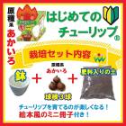 ϤƤ 塼å  å  庬 +4ȭ++ߥ˺ҡ   å ֤