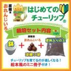 ϤƤ 塼å  å  庬 +4ȭ++ߥ˺ҡ 󤸤  å ֤