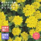 �ɺ��� �� �桼�ե���ӥ� �ݥꥯ���� ��������󥰥ݥå� �����㤤 ����ä��󤽤� ¿ǯ�� �ڥ�˥���