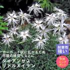 ��ͽ��۽ɺ��� �� �������󥵥� ��ȥ�ᥤ�ǥ� ��������󥰥ݥå� �Х�˹礦 ����ä��󤽤� ¿ǯ�� �ڥ�˥���ڣ�������ܤ��缡ȯ����