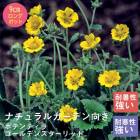 ��ͽ��۽ɺ��� �� �ݥƥ�ƥ��� ������ǥ󥹥�����å� 9������󥰥ݥå� �����㤤 ����ä��󤽤� ¿ǯ�� �ڥ�˥��� �ڣ����Ⱦ���缡ȯ����