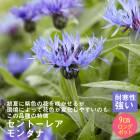 ��ͽ��۽ɺ��� �� ����ȡ��쥢 ��󥿥� 9������󥰥ݥå� �Х�˹礦 ����ä��󤽤� ¿ǯ�� �ڥ�˥���ڣ�������ܤ��缡ȯ����