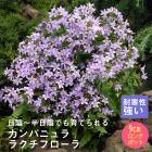 ��ͽ��۽ɺ��� �� ����ѥ˥�� �饯���ե����� ��������󥰥ݥå� ���� Ⱦ���� �������� �����ǥ� ����ä��󤽤� ¿ǯ��ڣ����Ⱦ���缡ȯ����