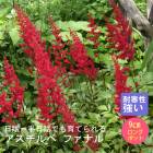 �ɺ��� �� ��������� �ե��ʥ� 9������󥰥ݥå� ���� Ⱦ���� �������� �����ǥ� ����ä��󤽤� ¿ǯ��