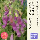 ��ͽ��۽ɺ��� �� �������ꥹ ���ѥ˥å���ԡ����� ��������󥰥ݥå� �������ꥹ ����ä��󤽤� ¿ǯ�� �ڥ�˥���ڣ����Ⱦ���缡ȯ����