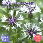 ��ͽ��۽ɺ��� �� ����ȡ��쥢 �ѡ��ץ�ϡ��� 9������󥰥ݥå� �Х�˹礦 ����ä��󤽤� ¿ǯ�� �ڥ�˥��� �ڣ����Ⱦ���缡ȯ����