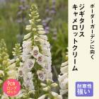 ��ͽ��۽ɺ��� �� �������ꥹ �������åȥ��꡼�� 9������󥰥ݥå� ���ι⤤ �ܡ����� �����ǥ� �������ꥹ ¿ǯ��ڣ����Ⱦ���缡ȯ����