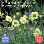 ͽ۽ɺ  եꥢ ƥ 9󥰥ݥå ι⤤ ܡ ǥ ä󤽤 ¿ǯڣ沼ܤ缡ȯ