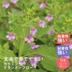 ��ͽ��۽ɺ��� �� ����ߥ� �����ǥ��ե����� 9������󥰥ݥå� �뤵�˶��� �ѽ��� ����ä��󤽤� ¿ǯ�� �ڥ�˥���ڣ����Ⱦ���缡ȯ����