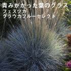 �ɺ��� �� �ե����ĥ� ���饦���֥롼���쥯�� 9������󥰥ݥå� ���饹 �����㤤 ����ä��󤽤� ¿ǯ��