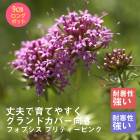 �ɺ��� �� �ե��ץ��� �ץ�ƥ����ԥ� ���� Ⱦ���� 9������󥰥ݥå� ���� Ⱦ���� �������� �����ǥ� ¿ǯ��