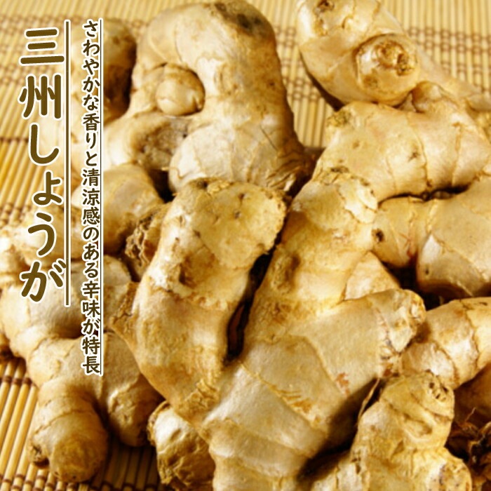 種生姜 【 中国産 三州 しょうが 】 種 球根 約1kg 家庭菜園 ショウガ